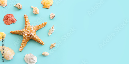 nautical concept with starfish and seashells over blue background