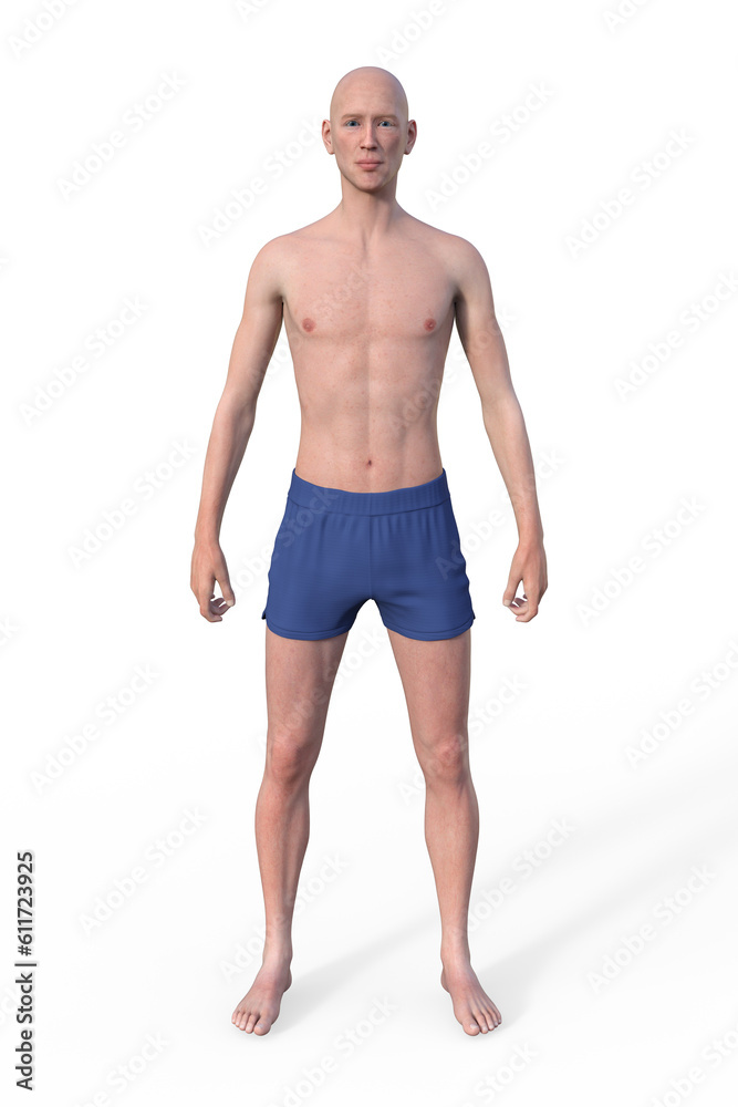 Fototapeta premium A 3D illustration of a male body with ectomorph body type