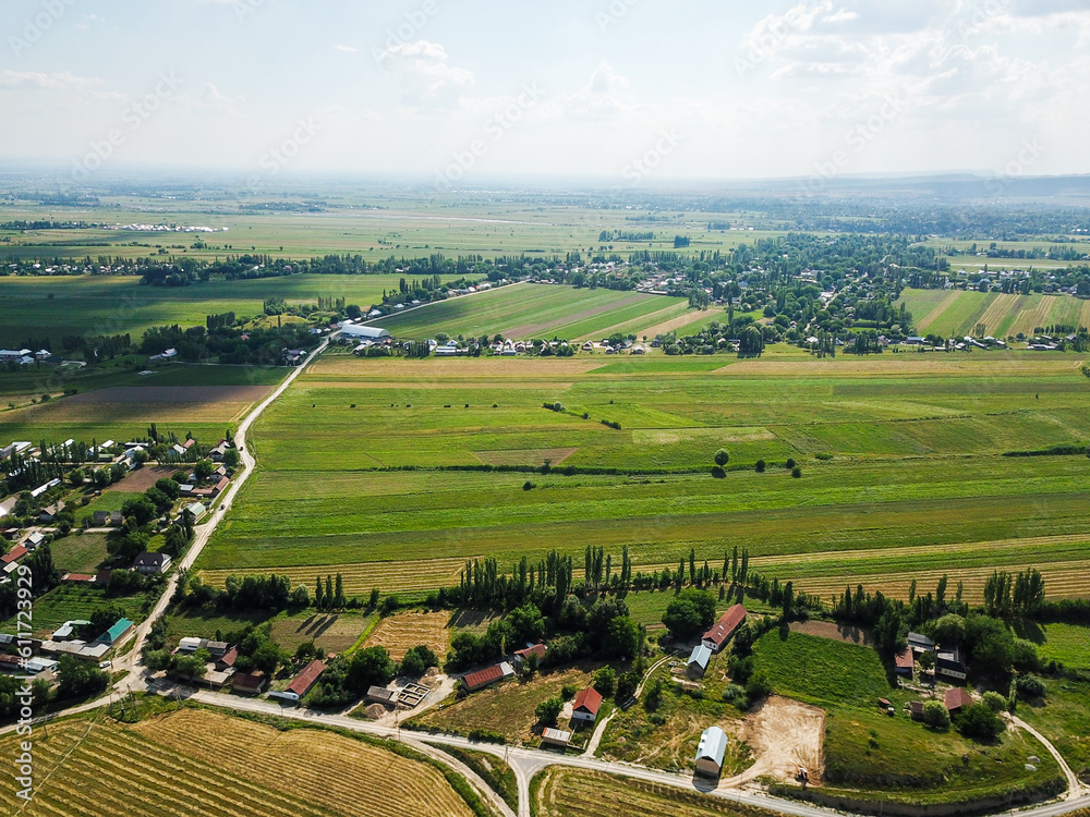 Aerial view of green agricultural fields Aerial view of green agricultural fields