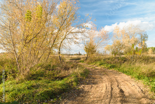 Fototapeta Naklejka Na Ścianę i Meble -  Jesienny krajobraz z piaszczystą drogą
