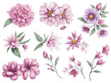 set of watercolor sakura elements on transparent background, generative ai