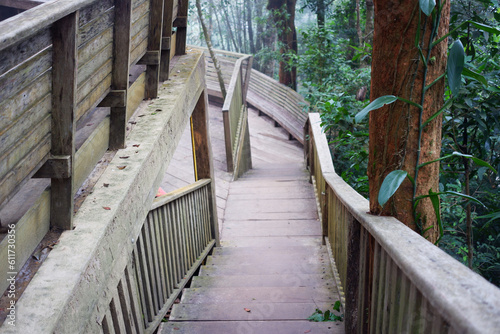 Fototapeta Naklejka Na Ścianę i Meble -  Wooden stairs in the forest.