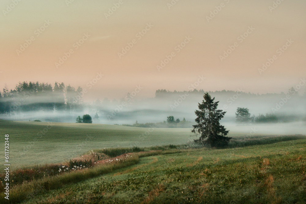 Misty summer morning landscape, Northern Europe Misty summer morning landscape, Northern Europe