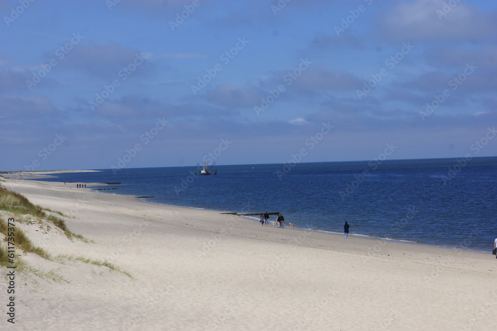 Der Strand von Sylt an der Nordsee Menschen,Tiere,Strandkörbe,Pflanzen