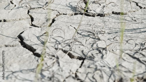 Wallpaper Mural Cracked Dry Ground. Drought Problem.  Torontodigital.ca