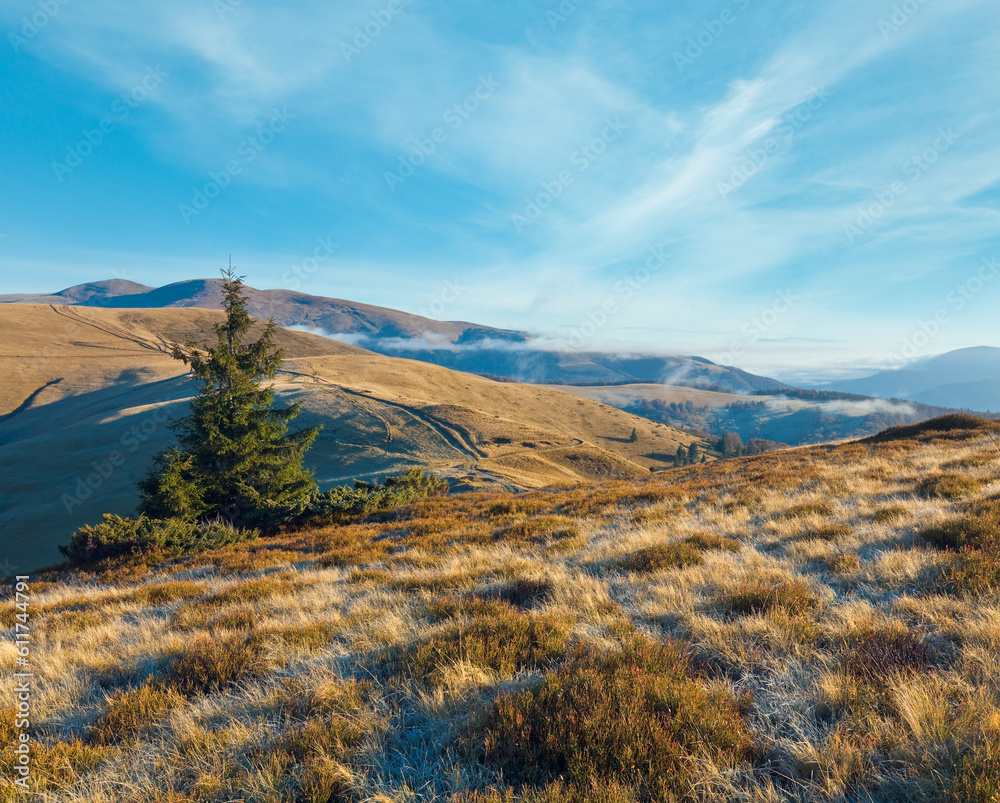 Autumn morning  mountain view with country road (Carpathian Mountains, Ukraine).