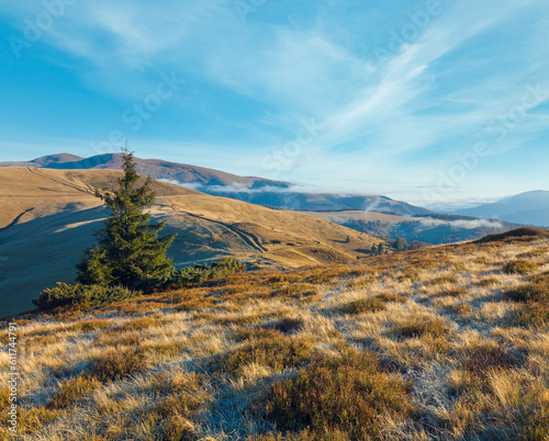 Autumn morning mountain view with country road (Carpathian Mountains, Ukraine).