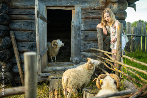 Adobrable teenage girl having fun feeding sheep in a small petting zoo outdoors. Summer activities for kids. photo