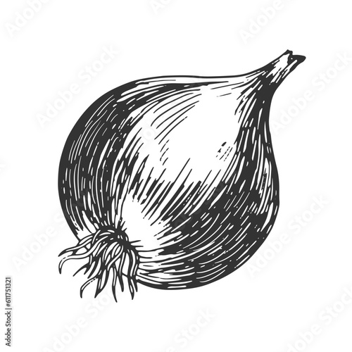 Onion isolated on white background. Hand drawn onion bulb. Black and white vegetable. Food drawn with hatching. Sketch of whole onion