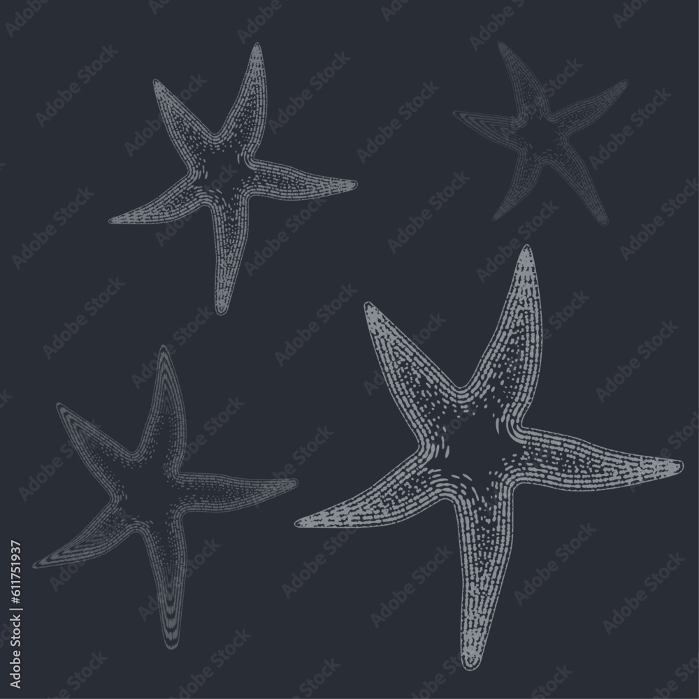Starfish in engraving style on a gray background