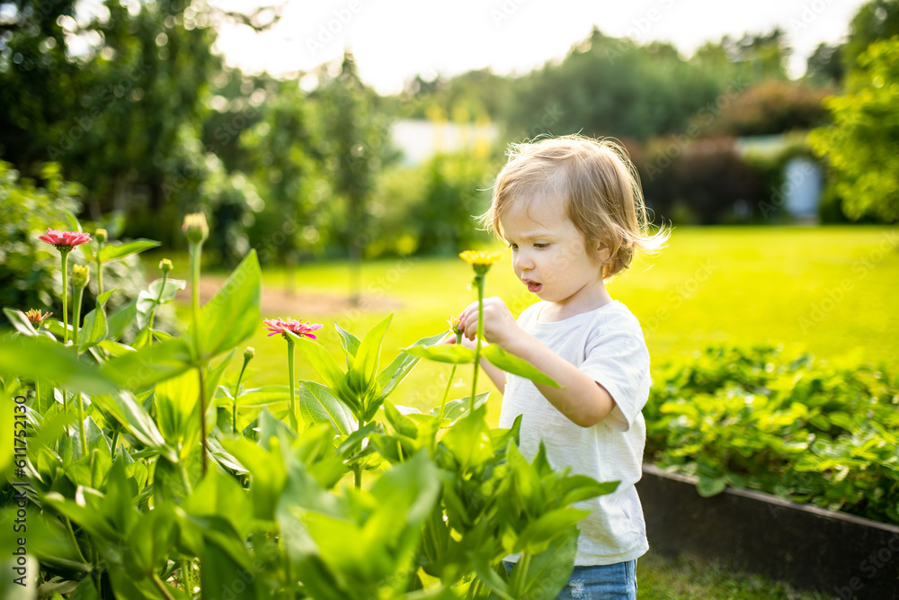 Adorable toddler boy having fun outdoors on sunny summer day. Child exploring nature. Summer activities for kids. Adorable toddler boy having fun outdoors on sunny summer day. Child exploring nature. Summer activities for kids.