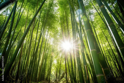 Lush green tropical forest landscape with tall bamboo stalks, sunlight filtering through leaves. Generative AI