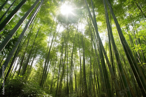 Lush green tropical forest landscape with tall bamboo stalks  sunlight filtering through leaves. Generative AI