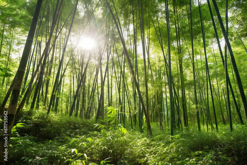 Lush green tropical forest landscape with tall bamboo stalks, sunlight filtering through leaves. Generative AI