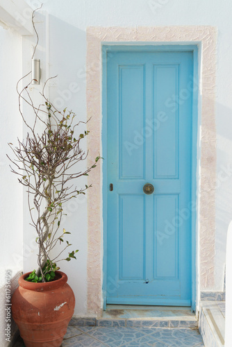 Dry winter plant on clay pot near light blue door. Minimalism interior concept.