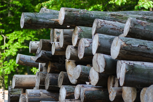 stack of firewood