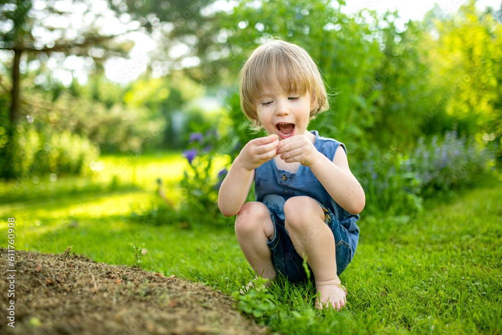 Adorable toddler boy having fun outdoors on sunny summer day. Child exploring nature. Summer activities for kids. Adorable toddler boy having fun outdoors on sunny summer day. Child exploring nature. Summer activities for kids.