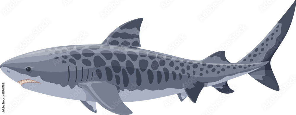 Obraz premium Tiger shark swimming side view vector illustration isolated on white background