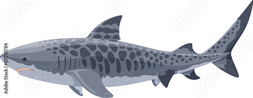 Tiger shark swimming side view vector illustration isolated on white background