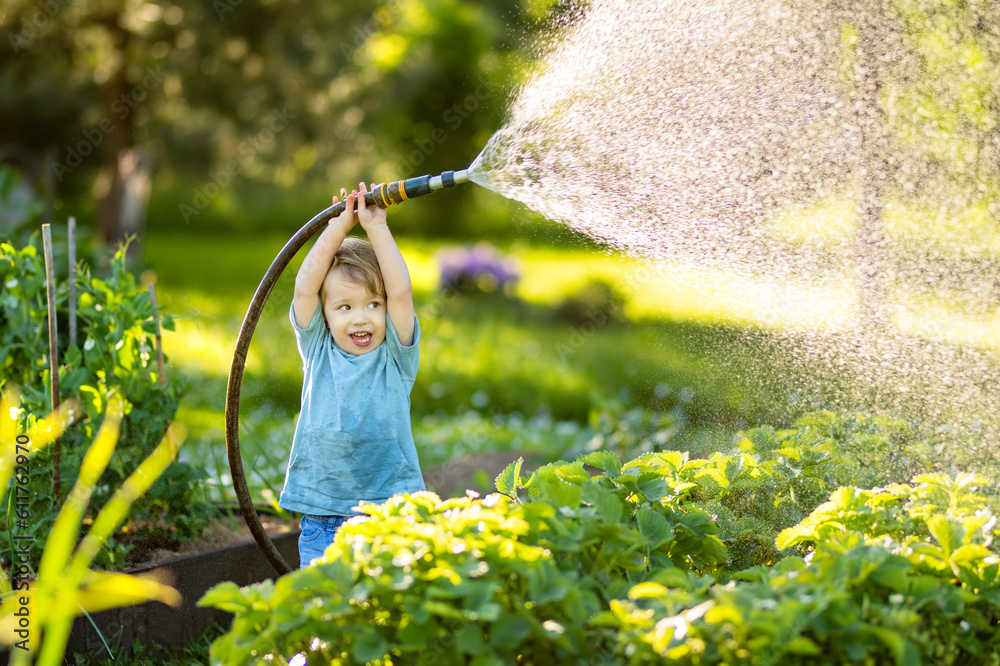 Cute toddler boy watering flower beds in the garden at summer day