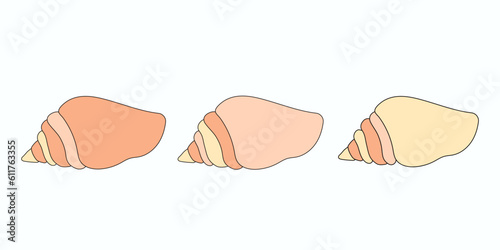 Set of sea shells with dark outline . Beige and yellow clipart .Hand drawn illustration for children. Cartoon flat style. The inhabitants of the sea and ocean .