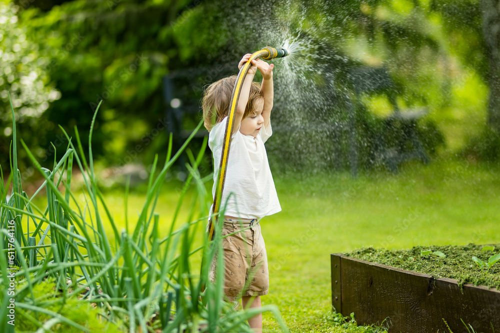 Cute toddler boy watering flower beds in the garden at summer day