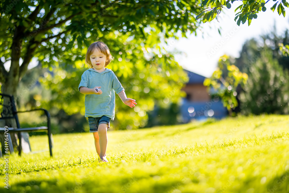 Adorable toddler boy having fun outdoors on sunny summer day. Child exploring nature. Summer activities for kids. Adorable toddler boy having fun outdoors on sunny summer day. Child exploring nature. Summer activities for kids.