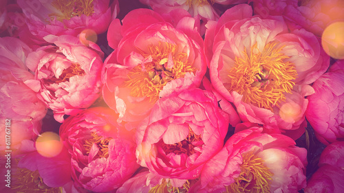 Pink roses floral pattern background