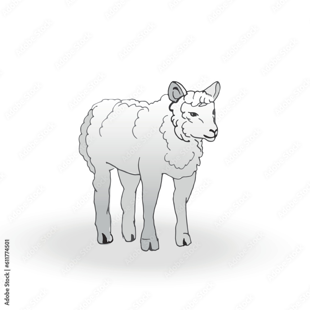 A vector sheep isolated on white background. Hand drawn line sketch, colored illustration with shadow. 