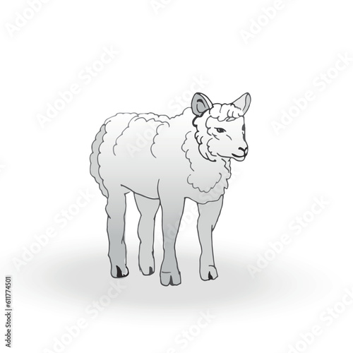A vector sheep isolated on white background. Hand drawn line sketch  colored illustration with shadow. 