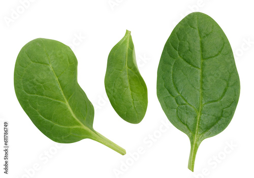 Green spinach leaves on a white isolated background, an ingredient for salad photo