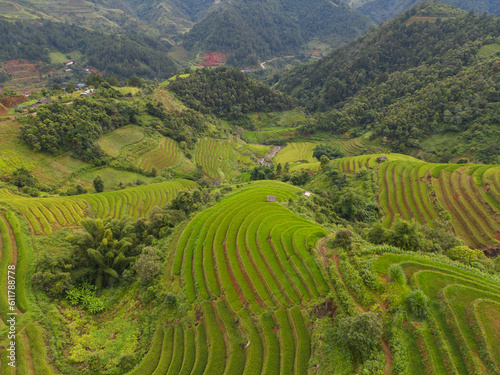 Aerial top view of fresh paddy rice terraces, green agricultural fields in countryside or rural area of Mu Cang Chai, mountain hills valley in Asia, Vietnam. Nature landscape background. © tampatra