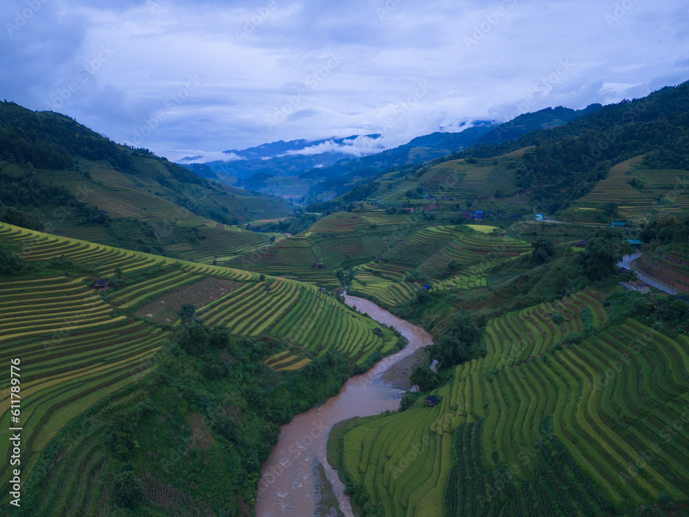 Aerial top view of fresh paddy rice terraces, green agricultural fields in countryside or rural area of Mu Cang Chai, mountain hills valley in Asia, Vietnam. Nature landscape background.