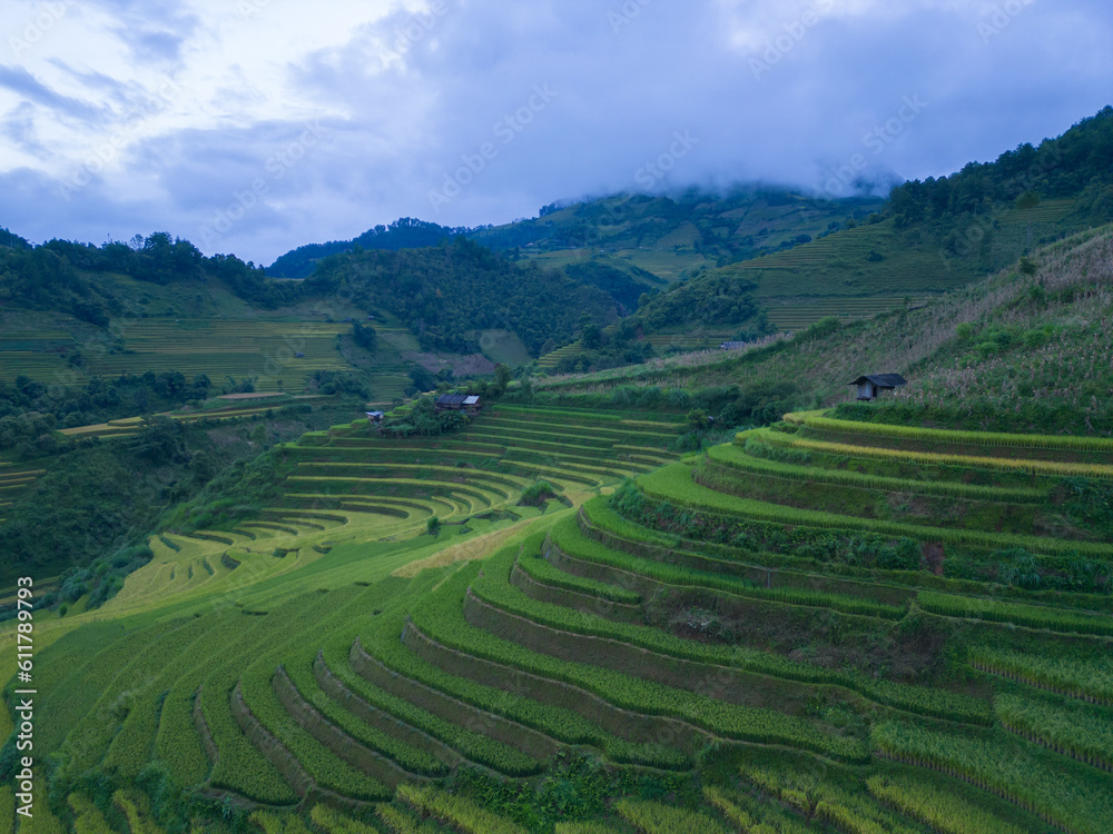 Aerial top view of fresh paddy rice terraces, green agricultural fields in countryside or rural area of Mu Cang Chai, mountain hills valley in Asia, Vietnam. Nature landscape background.