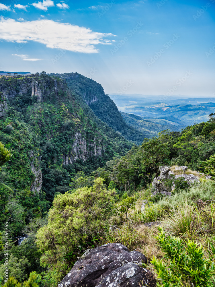 Vertical shot of Driekop Gorge and lush foliage during afternoon, Graskop, Mpumalanga, South Africa