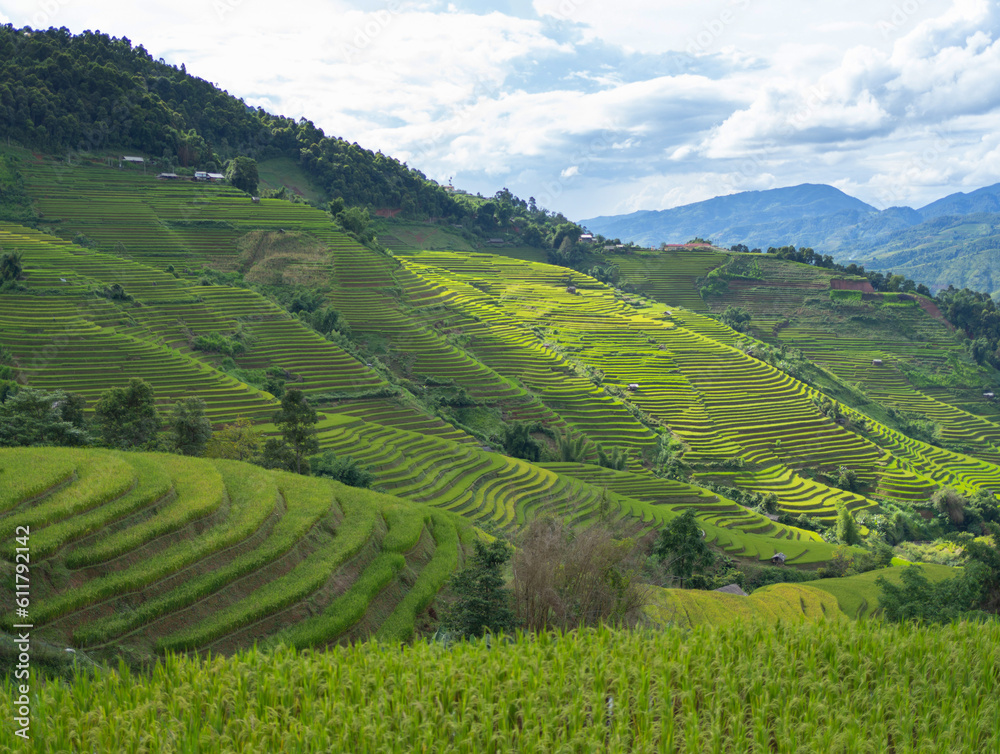 Aerial top view of fresh paddy rice terraces, green agricultural fields in countryside or rural area of Mu Cang Chai, mountain hills valley in Asia, Vietnam. Nature landscape background. Aerial top view of fresh paddy rice terraces, green agricultural fields in countryside or rural area of Mu Cang Chai, mountain hills valley in Asia, Vietnam. Nature landscape background.