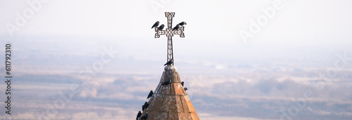 Birds sit on the dome of the church © Daniel
