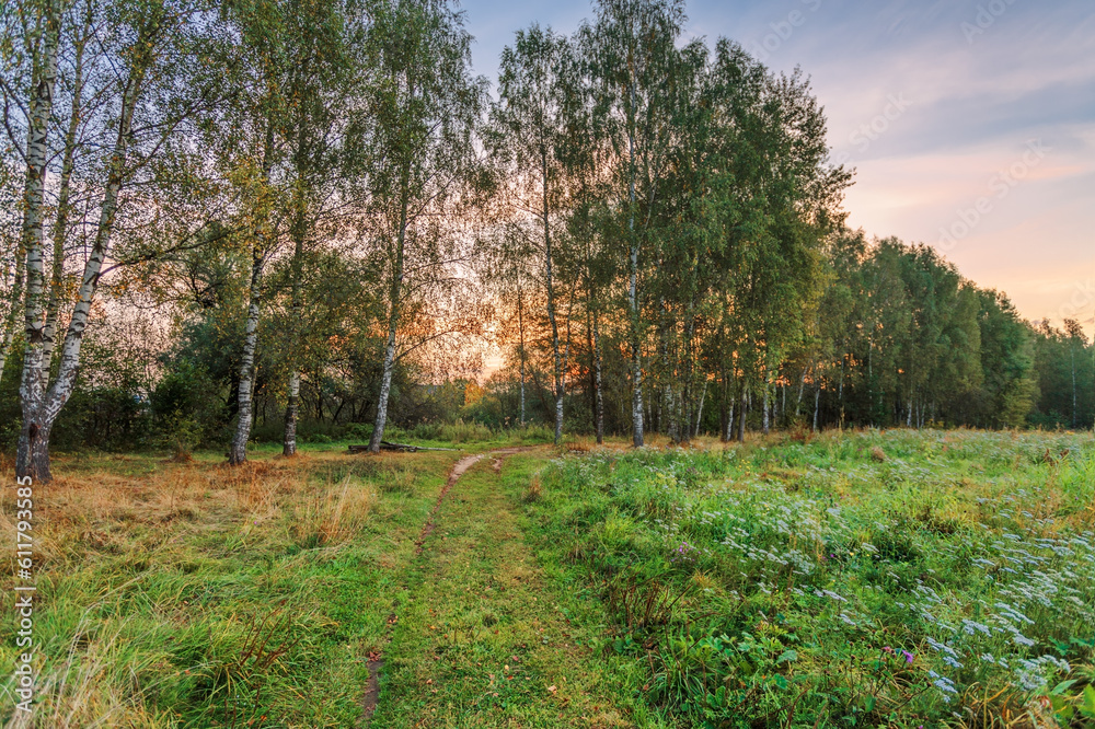 Obraz premium Path in a summer field in sunset light