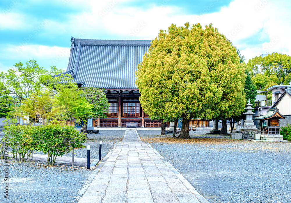 Fototapeta premium 京都、妙覚寺の境内