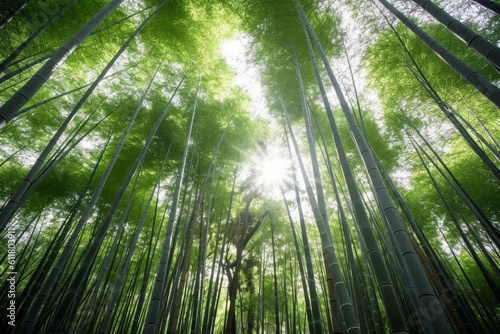 Sagano bamboo forest in Japan created using AI generative technology  