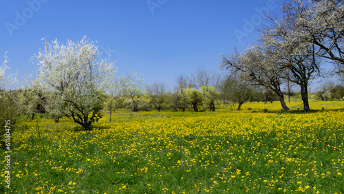 landscape in spring - generative ai