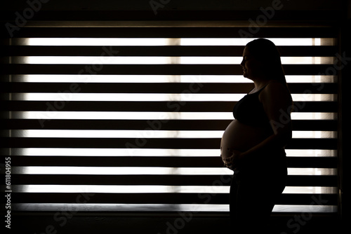 lonely pregnant woman standing at the window against the light. lonely pregnancy concept
