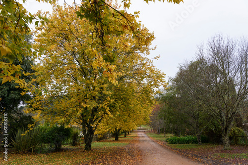 High Country, Jamieson, Victoria, Australia photo