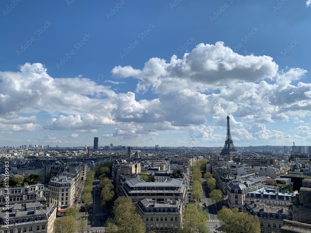 Obraz premium View of Paris from the Arc de Triomphe