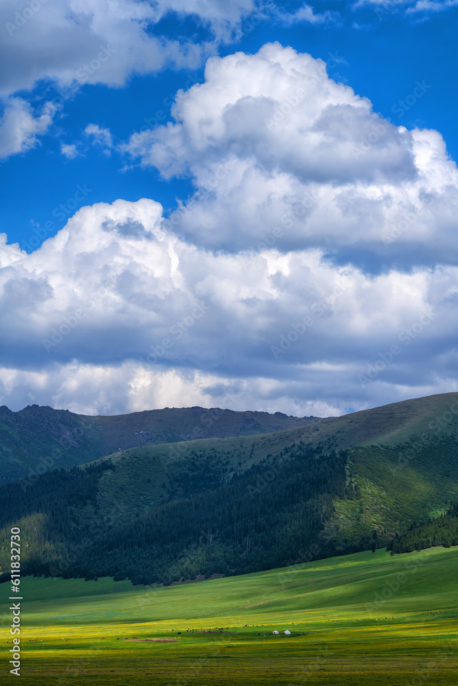 Picturesque alpine meadow on a summer day Picturesque alpine meadow on a summer day