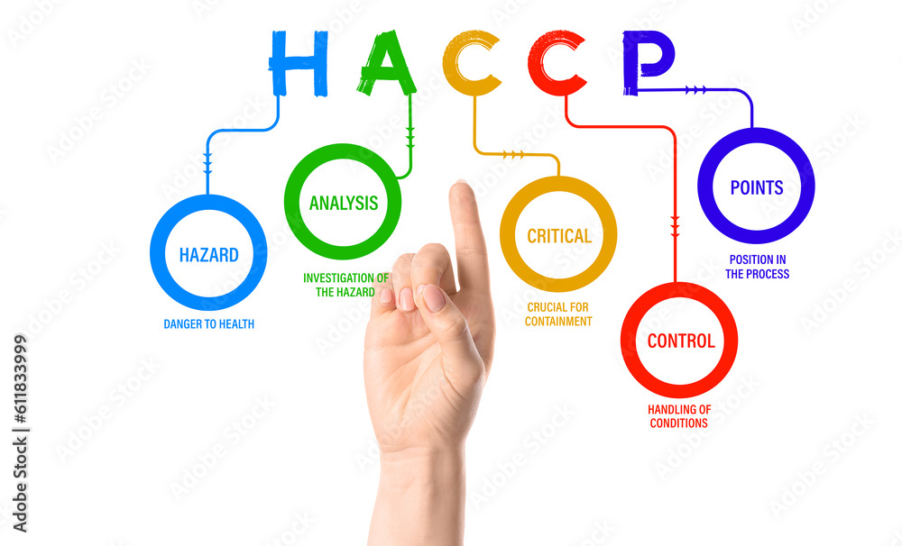 Female hand pointing at diagram with components of HACCP (Hazard, Analysis and Critical Control Points) on white background Female hand pointing at diagram with components of HACCP (Hazard, Analysis and Critical Control Points) on white background