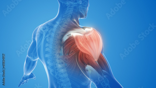 Obraz na płótnie shoulder muscle pain and injury