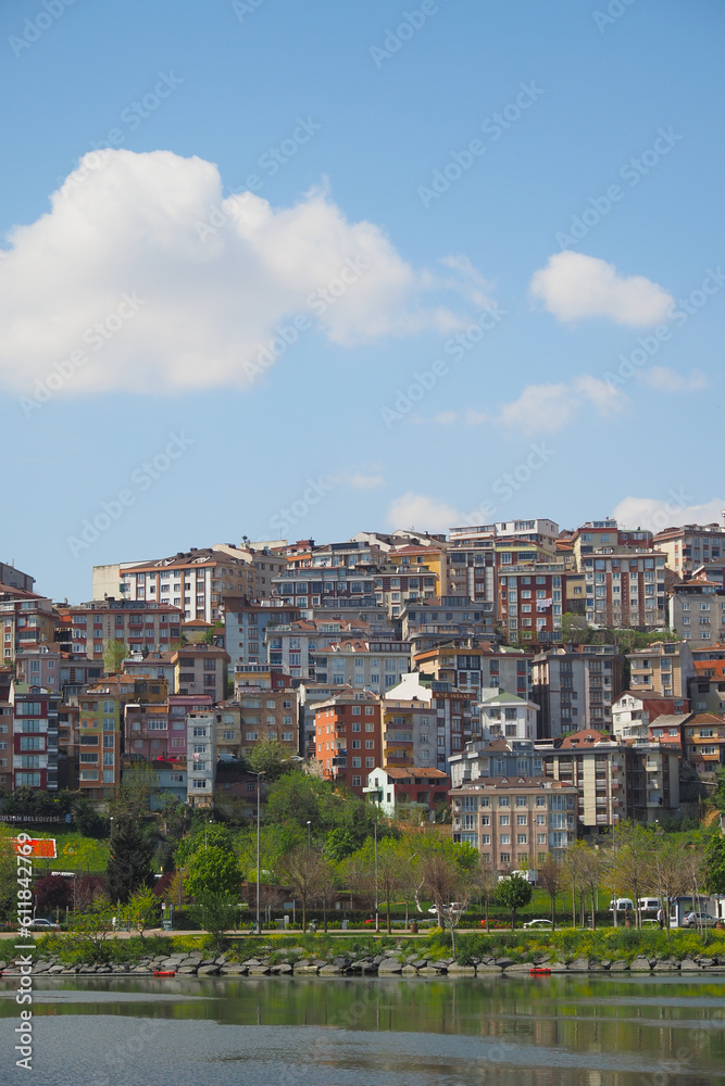 residential buildings on the hillside of the shore of the Bosphorus