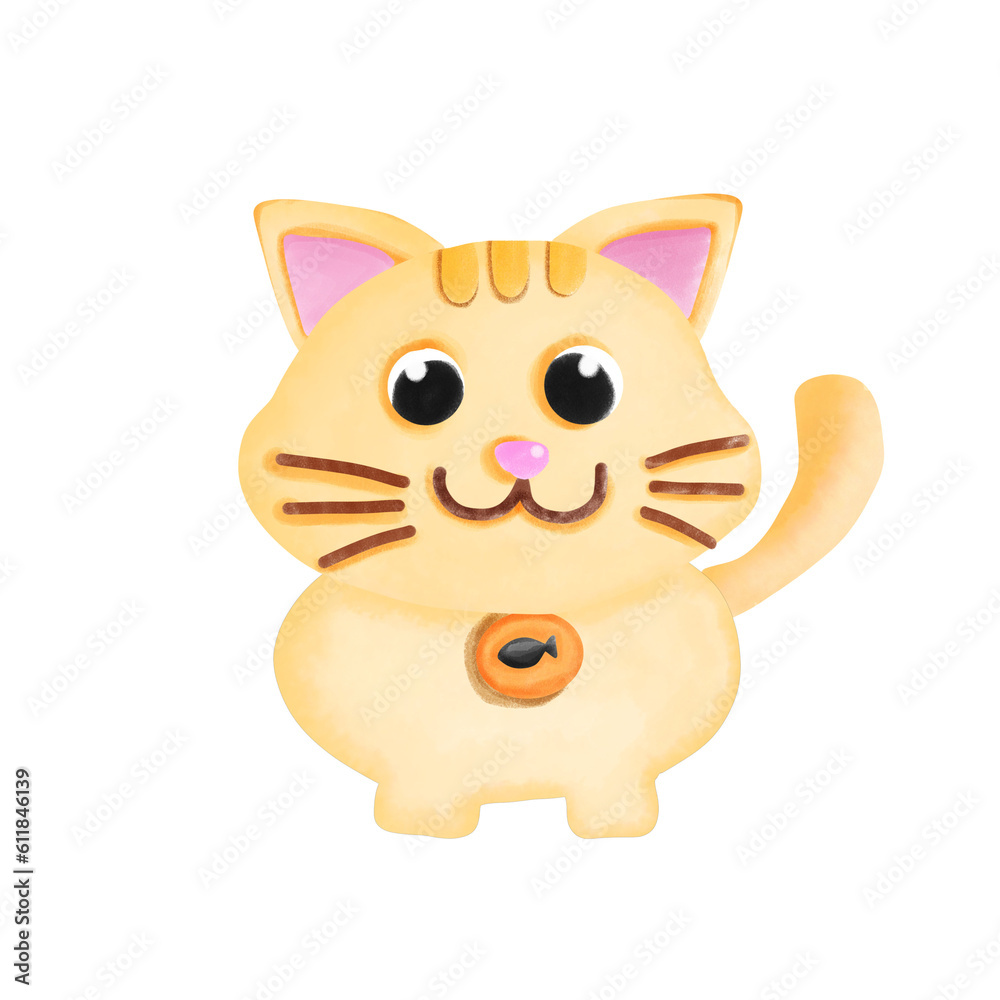 cat isolated on white cat isolated on white