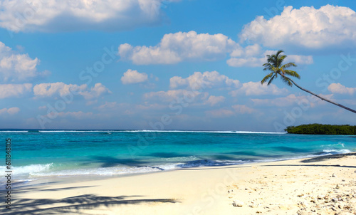 Fototapeta Naklejka Na Ścianę i Meble -  The holiday of summer palm tree  and Tropical beach with blue  of seashore background